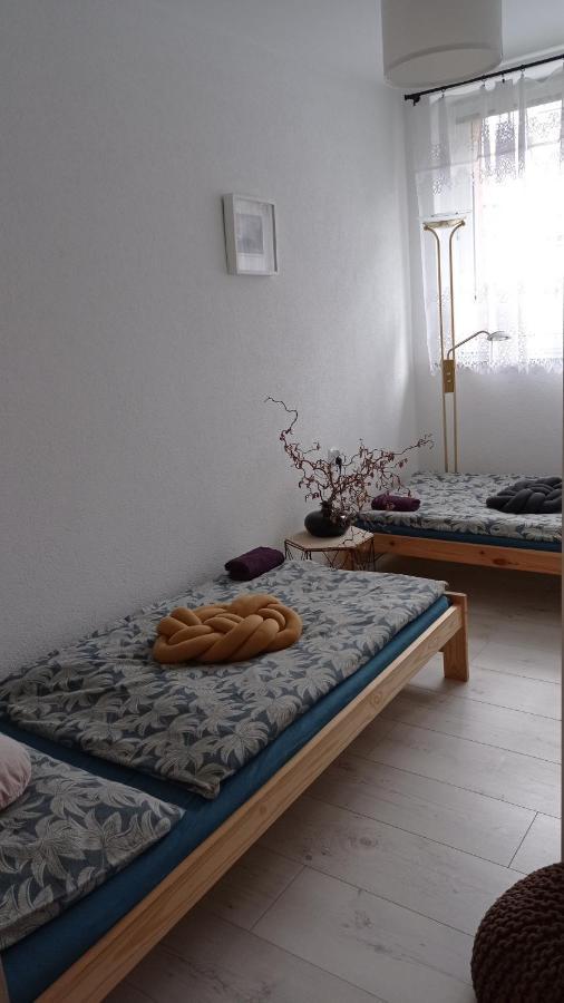 Babcares Apa Gory Izerskie Apartment Mirsk Exterior photo