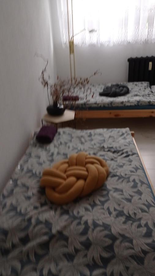 Babcares Apa Gory Izerskie Apartment Mirsk Exterior photo