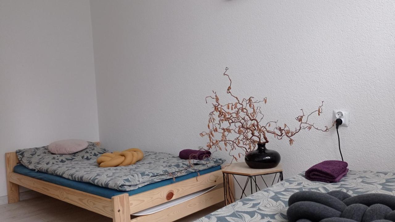Babcares Apa Gory Izerskie Apartment Mirsk Exterior photo